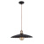 Подвесной светильник MAYTONI Quay T022-01-R