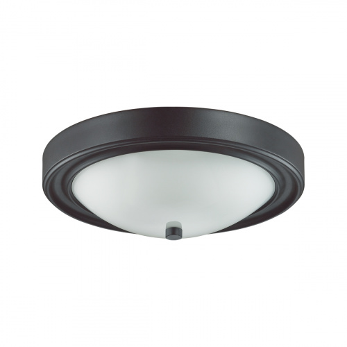 Настенно-потолочный светильник LUMION NINA 5260/2C