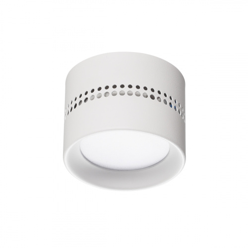 Потолочный светильник Odeon Light REAL 6609/1C