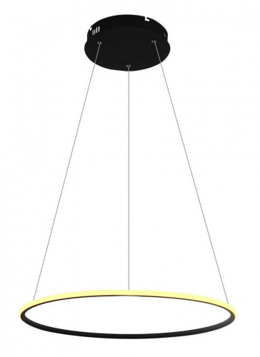 Светодиодный подвесной светильник Arte Lamp RAPID A2500SP-1BK