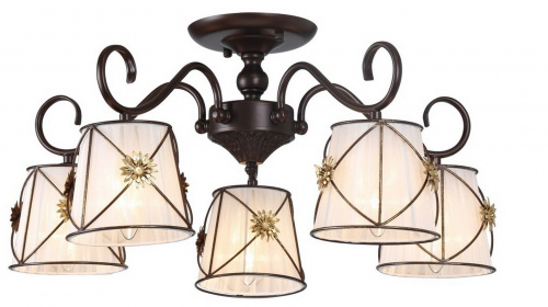 Потолочная люстра Arte Lamp FORTUNA A5495PL-5BR купить по низкой цене
