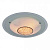 Настенно-потолочный светильник Arte Lamp GISELLE A4833PL-3CC