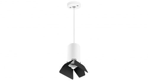 Подвесной светильник Lightstar Rullo (214436+590056+202437) RP436437