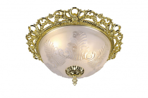 Потолочный светильник Arte Lamp PIATTI A8002PL-2GO