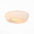 Потолочный светильник ST Luce BOTONE SL467.502.02