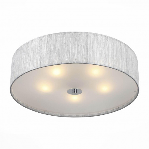 Потолочный светильник ST Luce Rondella SL357.102.05