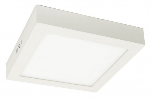 Светодиодный накладной светильник Arte Lamp ANGOLO A3618PL-1WH