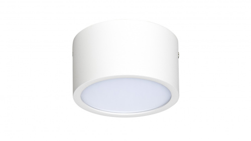 Светодиодный накладной светильник Lightstar ZOLLA CYL 213916