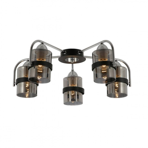 Потолочная люстра Evoluce Fiumo SLE102002-05 купить по низкой цене