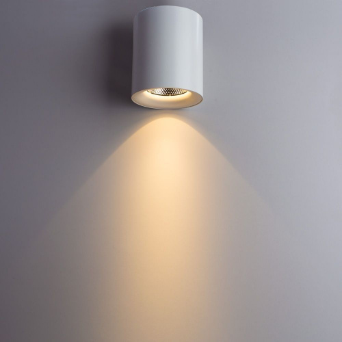 Светодиодный накладной светильник Arte Lamp FACILE A5130PL-1WH