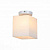 Потолочный светильник ST Luce ASPETTO SL548.501.01