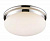 Потолочный светильник Arte Lamp AQUA A2916PL-2CC