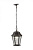 Уличный подвесной светильник Arte Lamp GENOVA A1205SO-1BS