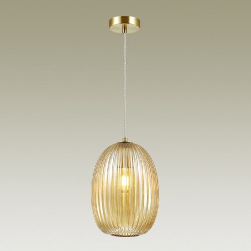 Подвесной светильник Odeon Light Dori 4704/1