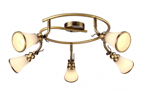 Потолочный светильник Arte Lamp VENTO A9231PL-5AB
