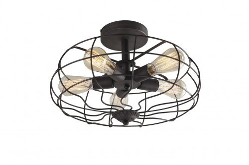 Потолочный светильник DIVINARE COTTERO 5002/05 PL-5