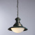 Подвесной светильник Arte Lamp FERRICO A9256SP-1BG