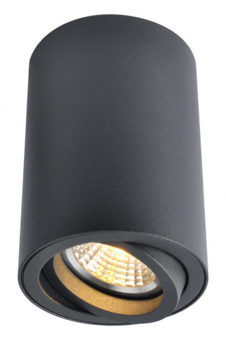 Накладной светильник Arte Lamp SENTRY A1560PL-1BK
