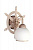 Бра Omnilux Fronteira OML-50511-01