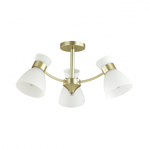 Потолочная люстра LUMION WILMA 4535/3C купить по низкой цене
