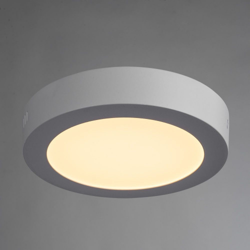 Светодиодный накладной светильник Arte Lamp ANGOLO A3012PL-1WH