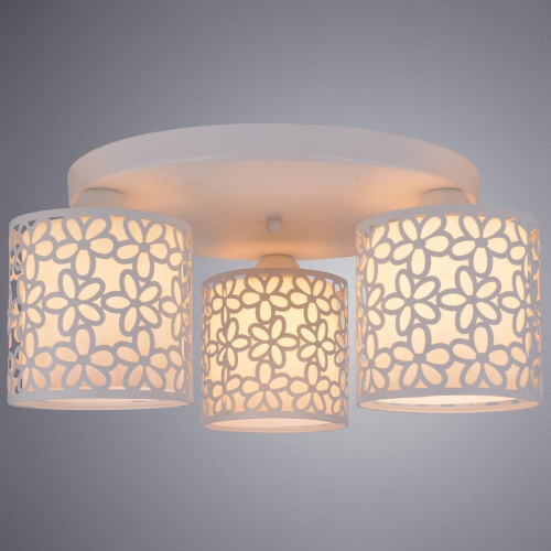 Потолочный светильник Arte Lamp TRAFORATO A8349PL-3WH