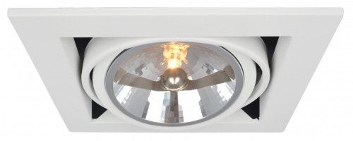 Технический светильник Arte Lamp CARDANI A5935PL-1WH