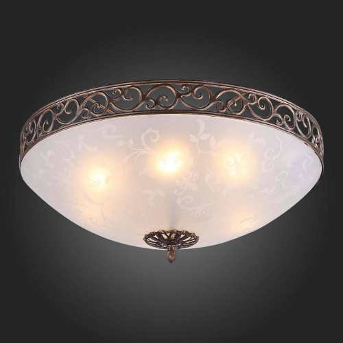 Потолочный светильник ST Luce SL244 SL244.202.06