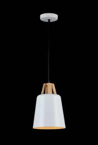 Подвесной светильник MAYTONI Cup P019-PL-01-W