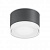 Уличный потолочный светильник Ideal Lux URANO PL1 SMALL ANTRACITE
