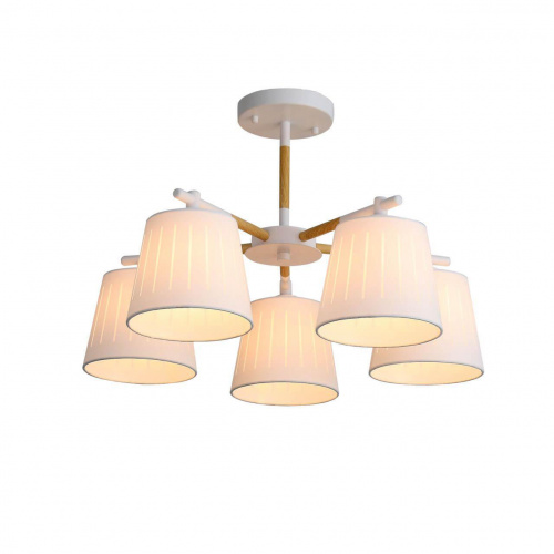 Потолочная люстра ST Luce Passeto SL375.502.05 купить по низкой цене