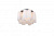 Потолочная люстра ST Luce Big Onde SL119.502.05