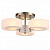 Потолочная люстра ST Luce Foresta SL483.352.03