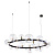 Подвесная люстра Arte Lamp Vincent A7790SP-24BK