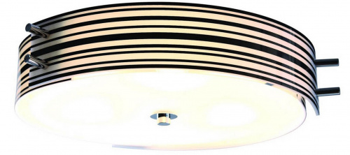 Потолочный светильник ST Luce SL484 SL484.542.06