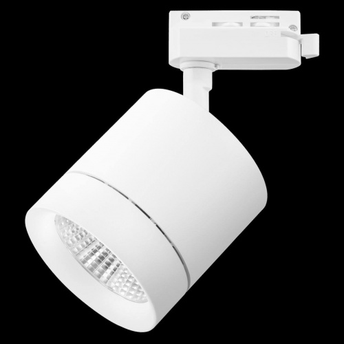 Светодиодный трековый светильник Lightstar Canno 301262