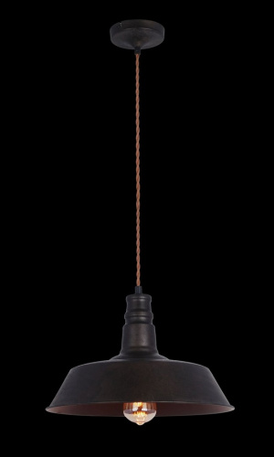 Подвесной светильник MAYTONI Campane T023-01-R