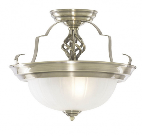Потолочный светильник Arte Lamp LOBBY A7835PL-2AB