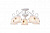 Потолочная люстра Arte Lamp FORTUNA A5495PL-5WG