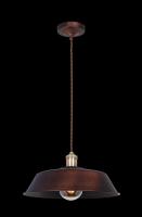 Подвесной светильник MAYTONI Pail T027-01-R