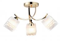 Потолочный светильник Arte Lamp MODELLO A6119PL-3GO