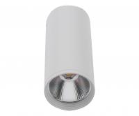 Потолочный светильник Kink Light Фабио 08570-12,01