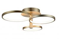 Светодиодная потолочная люстра ST Luce SL869 SL869.202.03