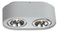 Встраиваемый светильник Arte Lamp CLIFF A5643PL-2WH