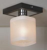 Потолочный светильник Lussole Costanzo LSL-9007-01