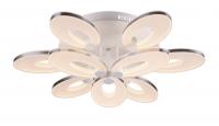Светодиодная потолочная люстра ST Luce SL900 SL900.502.09