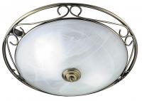 Настенно-потолочный светильник Arte Lamp PUB A7846PL-2AB