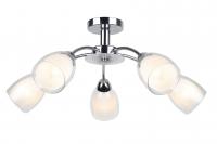 Потолочный светильник Arte Lamp CARMELA A7201PL-5CC