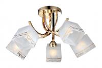 Потолочная люстра Arte Lamp MODELLO A6119PL-5GO
