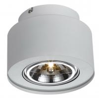 Встраиваемый светильник Arte Lamp CLIFF A5643PL-1WH